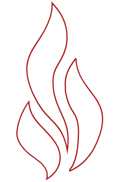 FireGold - Ing. Pavel Svoboda